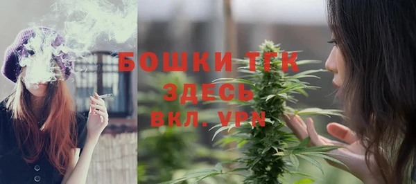 гашик Алексеевка