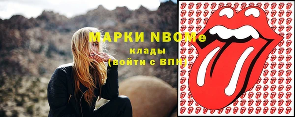 гашик Алексеевка
