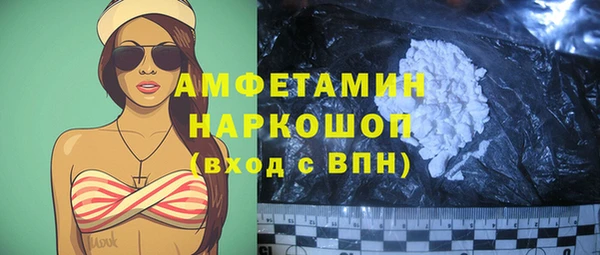 гашик Алексеевка